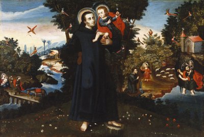 St. John of God by Pedro Nolasco y Lara